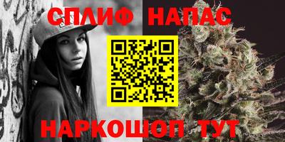 скорость Будённовск