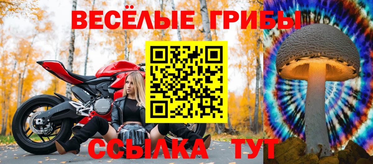 Псилоцибиновые грибы Psilocybine cubensis  Псилоцибиновые грибы MAGIC MUSHROOMS  Мариинск  Вход с VPN 